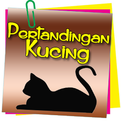 kucing
